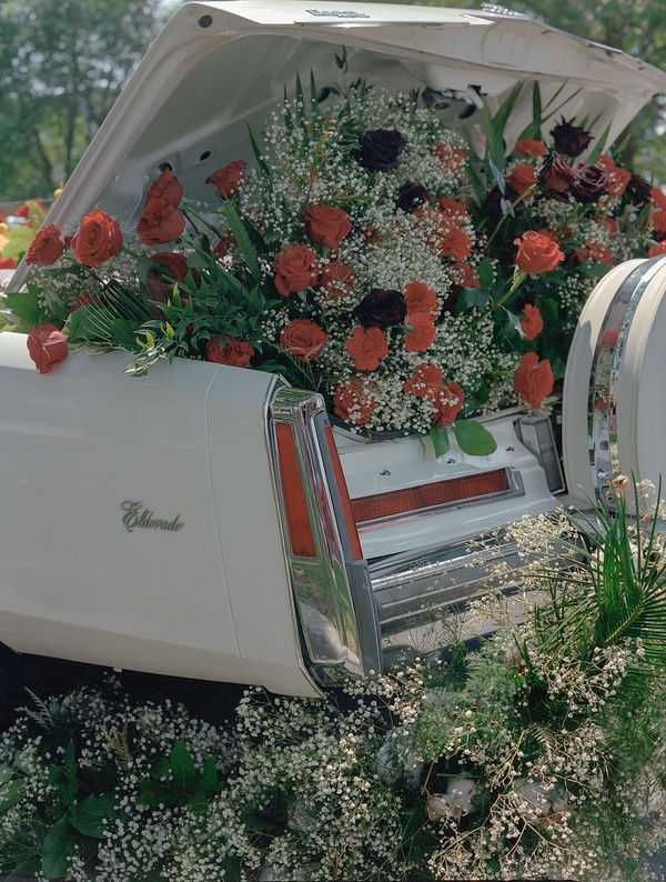  Kayla Reefer artwork 