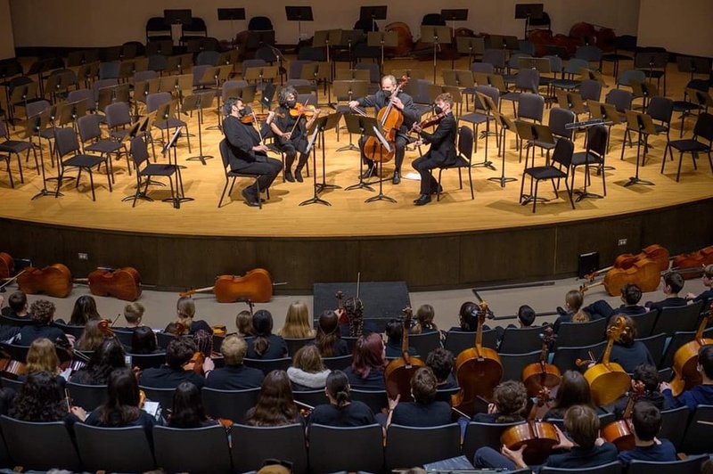  Rasa Mahmoudian artwork 